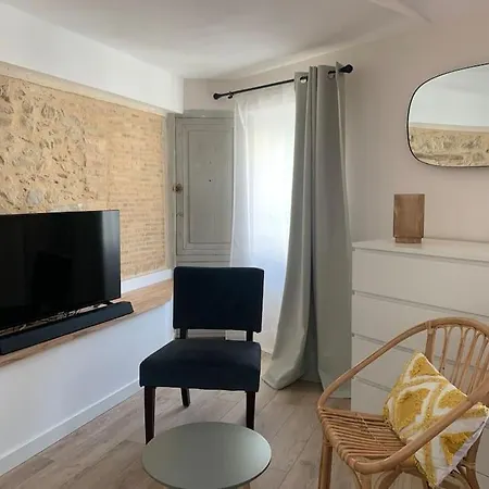 Appartement Studio Centre Avec Terrasse Toit La Roche-sur-Yon